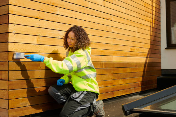Best Siding Maintenance  in Lamar, TX